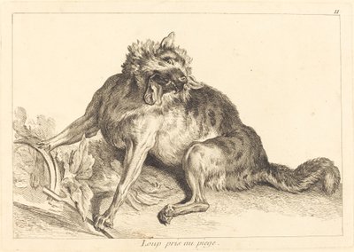 Wolf gevangen in een val door Jacques Philippe Le Bas and Jean Eric Rehn after Jean Baptiste Oudry