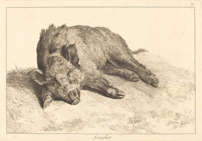 Wild zwijn liggend, hoofd naar links door Jacques Philippe Le Bas and Jean Eric Rehn after Jean Baptiste Oudry