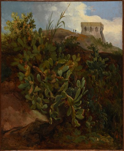 Toren en cactus door Jacques Raymond Brascassat