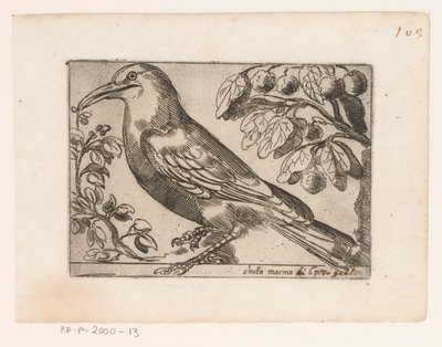 Vogel door Jacques de Fornazeris (possibly)