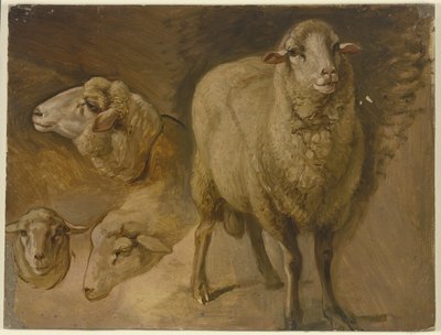  door Jakob Becker