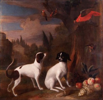 Twee Honden in een Landschap door Jakob Bogdani or Bogdany