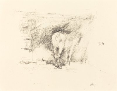 Studie van een paard, 1895 door James Abbott McNeill Whistler
