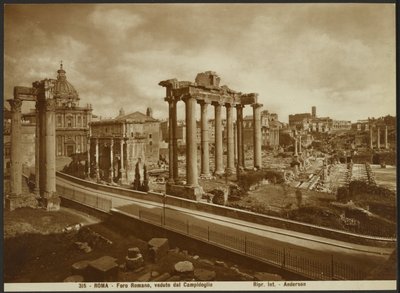 Het Forum Romanum, gezien vanaf de hoofdstad door James Anderson