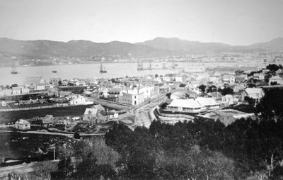 Lambton Harbour en Queens Wharf, Wellington, Nieuw-Zeeland door James Bragge