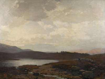 Dinnet Moor door James Cadenhead