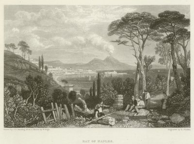 Baai van Napels door James Duffield Harding
