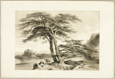 Ceders van Libanon, uit Het park en het bos door James Duffield Harding