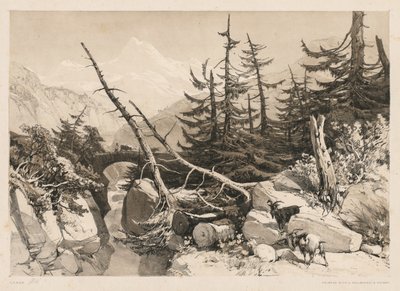 Pijnbomen en brug, 1841 door James Duffield Harding