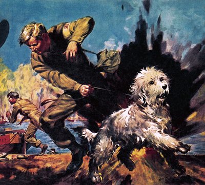 Ricky, Oorlogshond door James Edwin McConnell