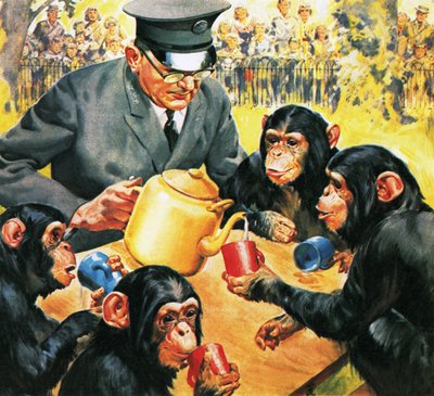 Wie is wie in de dierentuin: Thee voor vier door James Edwin McConnell