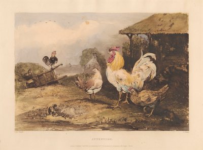 Rurale ridderlijkheid; Een serie in zes platen van vechtende hanen: 1. Aandacht door James Fahey