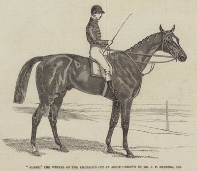 Alarm, de winnaar van de Keizer