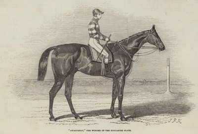 Zoetigheid, de Winnaar van de Doncaster Plaat door James Herring