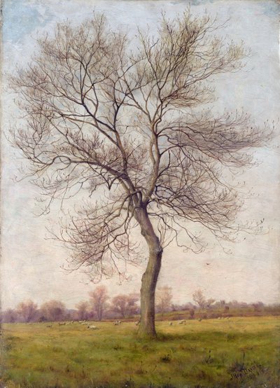 Studie van een Es in de Winter door James Hey Davies
