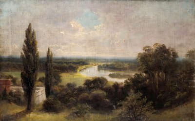 Uitzicht over Ham velden vanaf de top van Richmond Hill door James Lewis