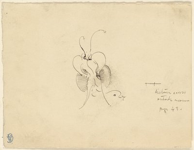 Vlinder door James McNeill Whistler