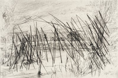  door James McNeill Whistler
