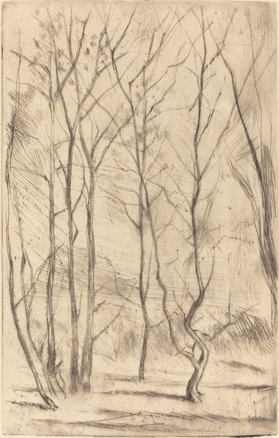 Het Damhout door James Abbott McNeill Whistler