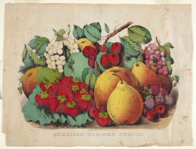 Amerikaans Zomerfruit door James Merritt Ives