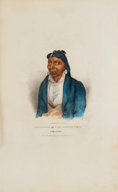 MO-WAN-ZA of De kleine wolf; een opperhoofd uit Miami, uit de Aboriginal Portfolio door James Otto Lewis