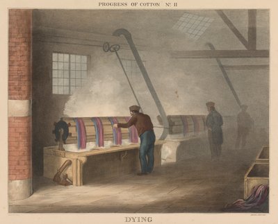 Voortgang van Katoen: # 11 - Verven door James Richard Barfoot