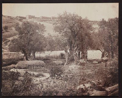 Getsemane [Jeruzalem. Olijfberg] door James Robertson
