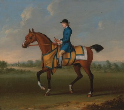 Een bruine renpaard met jockey door James Seymour