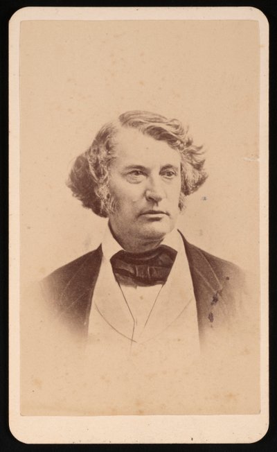 Portret van Charles Sumner 1811-1874, voor 1874 door James Wallace Black