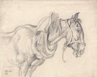 Hoofd en schouders van een karrenpaard door James Ward