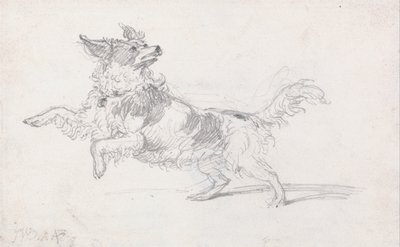 De Hond van Lady Londonderry door James Ward