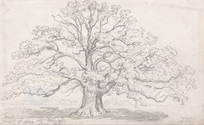 De Grote Eik van Meneer Howard, 5 Augustus 1820 door James Ward