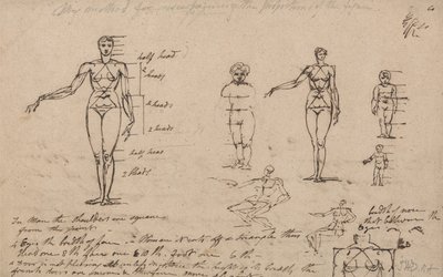 Anatomiestudies, metingen en schrijven door James Ward