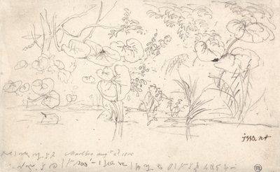 Studies van planten, 2 augustus 1815 door James Ward