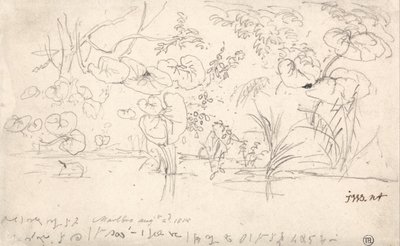Studies van planten, 2 augustus 1815 door James Ward