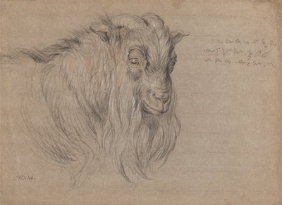 Studie van de kop van een ram door James Ward