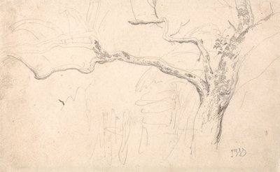 Bomenstudie door James Ward