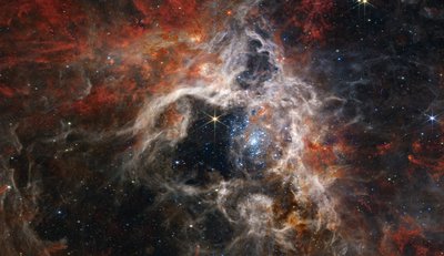 Een Kosmische Tarantula door James Webb Space Telescope (NASA)