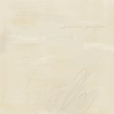 Vervaagde abstracte teksten door James Zamora