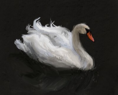 Sierlijke witte zwaan door James Zamora