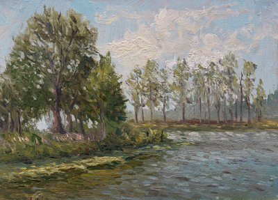 Groene bomen langs de rivier door James Zamora