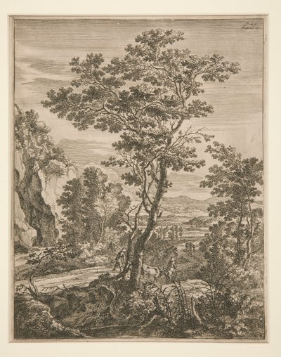 Landschap met een grote boom door Jan Both