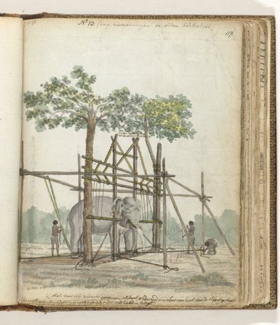 Olifantenstal door Jan Brandes