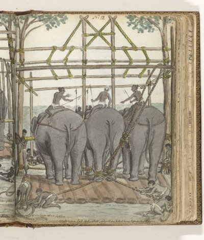 Temmen van een wilde olifant in de tijdelijke stal, achteraanzicht door Jan Brandes