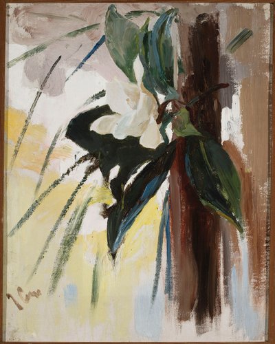 Magnolia door Jan Ciągliński