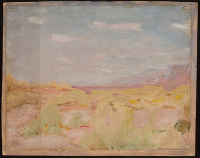 Steppe (Transkaspische regio). Van een reis naar Turkestan door Jan Ciągliński