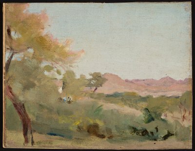 Udaipur - Indiaas landschap. Van een reis naar India door Jan Ciągliński