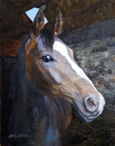 Paard in de stal bij daglicht door Jan Clizer