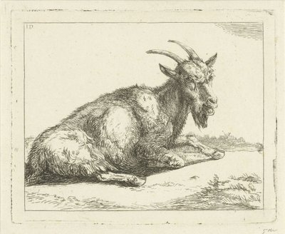 Geit door Jan Dasveldt