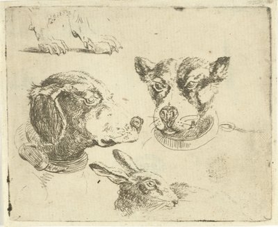 Studieblad met twee hondenkoppen, poten van hond en kop van haas door Jan Dasveldt